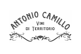Antonio Camillo