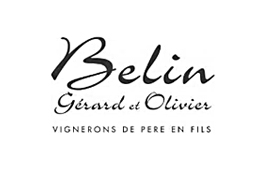 Gérard Belin